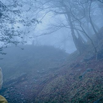 お、北岳頂上かな？