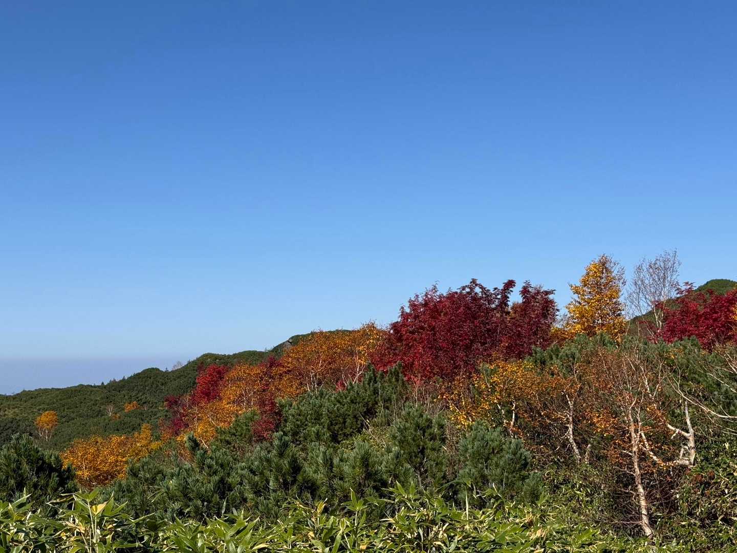 三段山 往復コースの写真