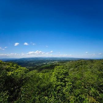 ここも展望が素晴らしいです。ですが高峰山に比べて人は疎ら😅高峰山は車で行きやすいんですかね？お子様も居ました
