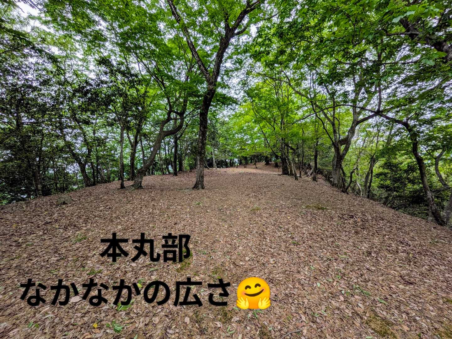 本丸部。
ここが一番広かった😃