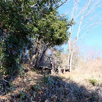 ここが穴場のベンチ