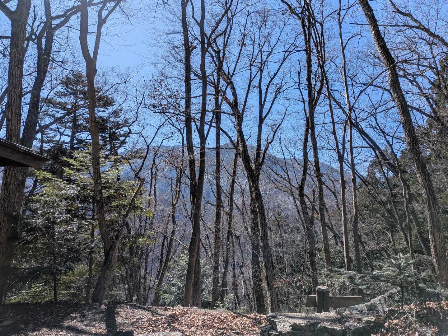 南にいつかは踏破しなければならない和名倉山　でっかい…