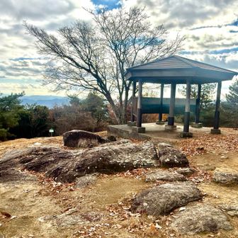 頂上の見晴らし台到着😌
でも三角点が無い…🤔
結局見つからず、どこが頂点かわからない🤣