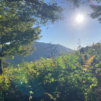 下山に使う尾根。先は長い。