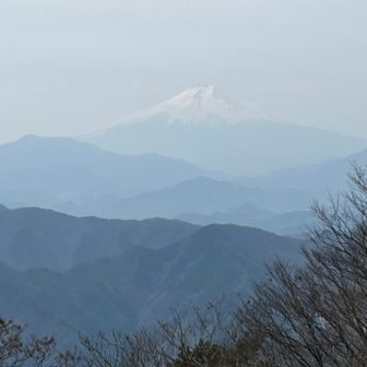 大沢山ベンチより📷