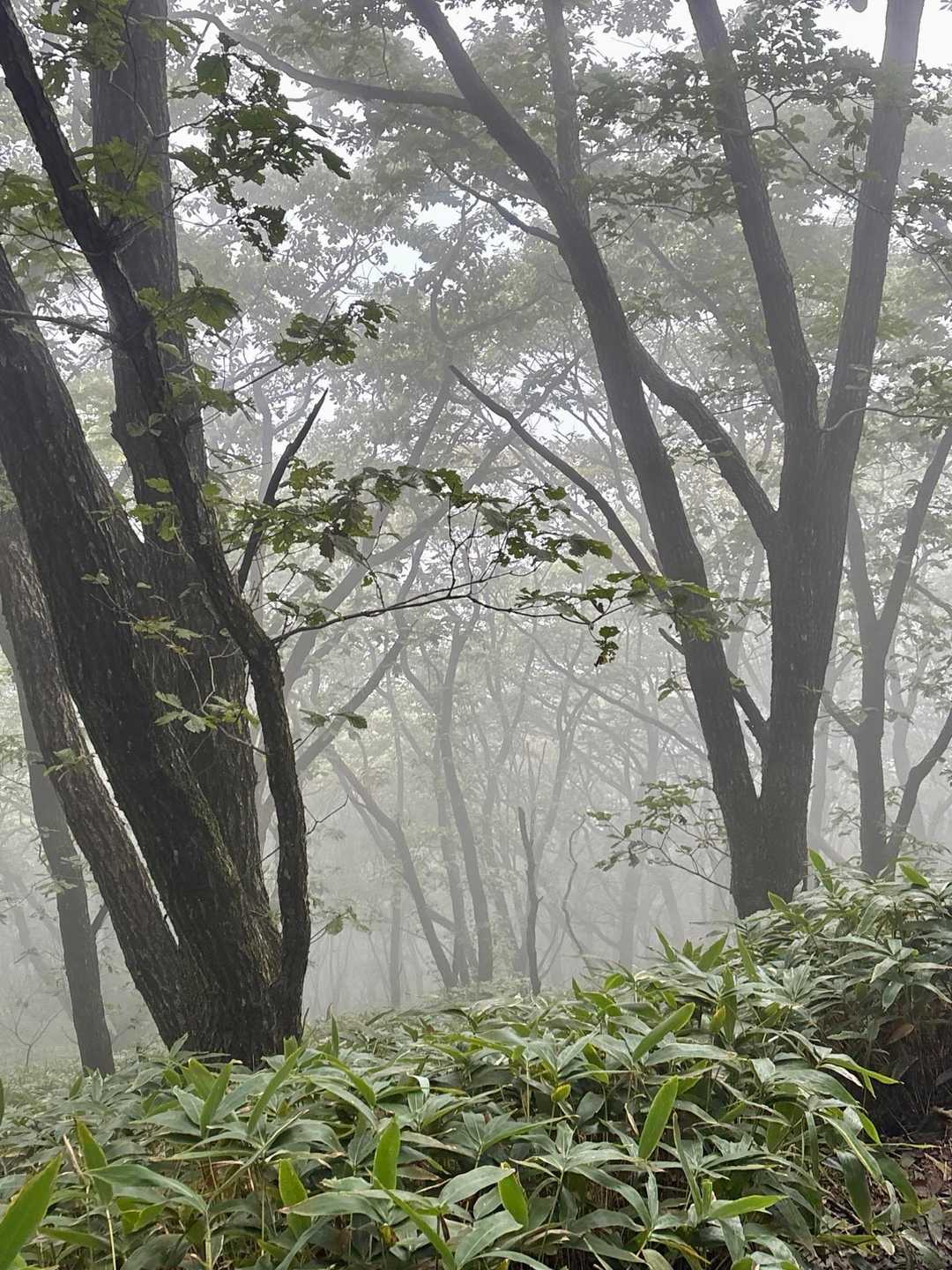 榛名富士登山口-榛名富士 往復コースの写真