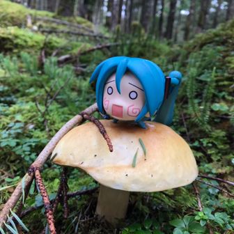 ミクと登る日本の山＊ナガミー