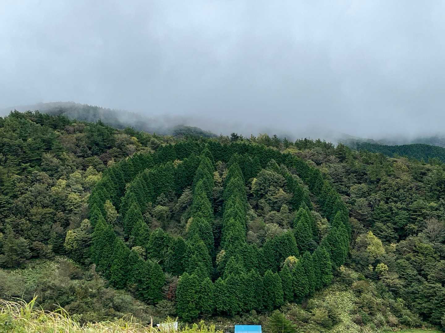 旧芸北町の町章の形に木が植えられてる