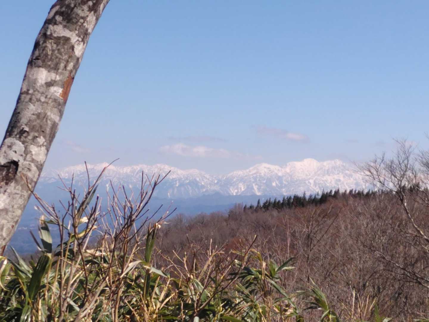 見えたあ👏