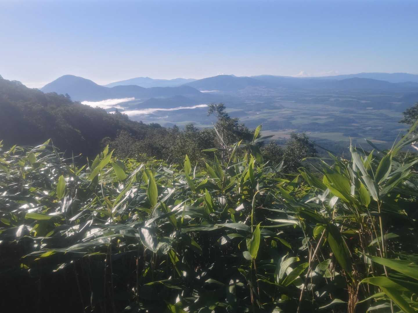 比羅夫登山口-羊蹄山-羊蹄山-真狩登山口 縦走コースの写真