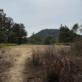 的山南峰 山頂 前に見えるのは、大日山です
大日山には急登ですが上り下り共トラロープが張ってあるので安心です