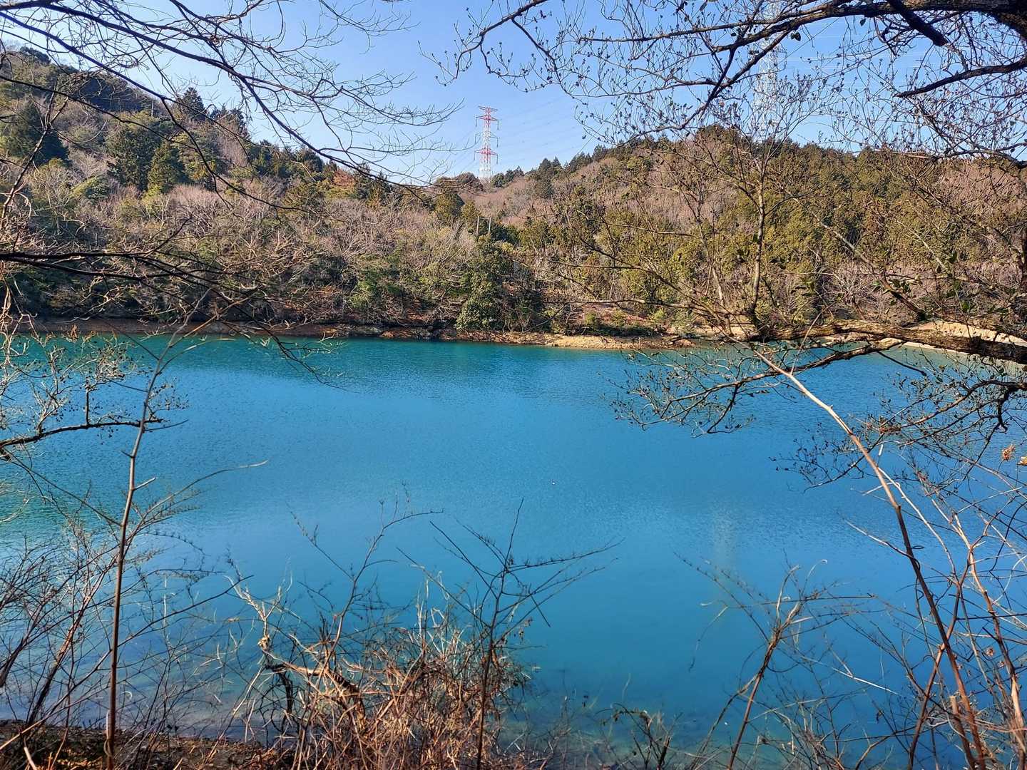 最後は林道を歩いて戻る。池の水の色がきれい。