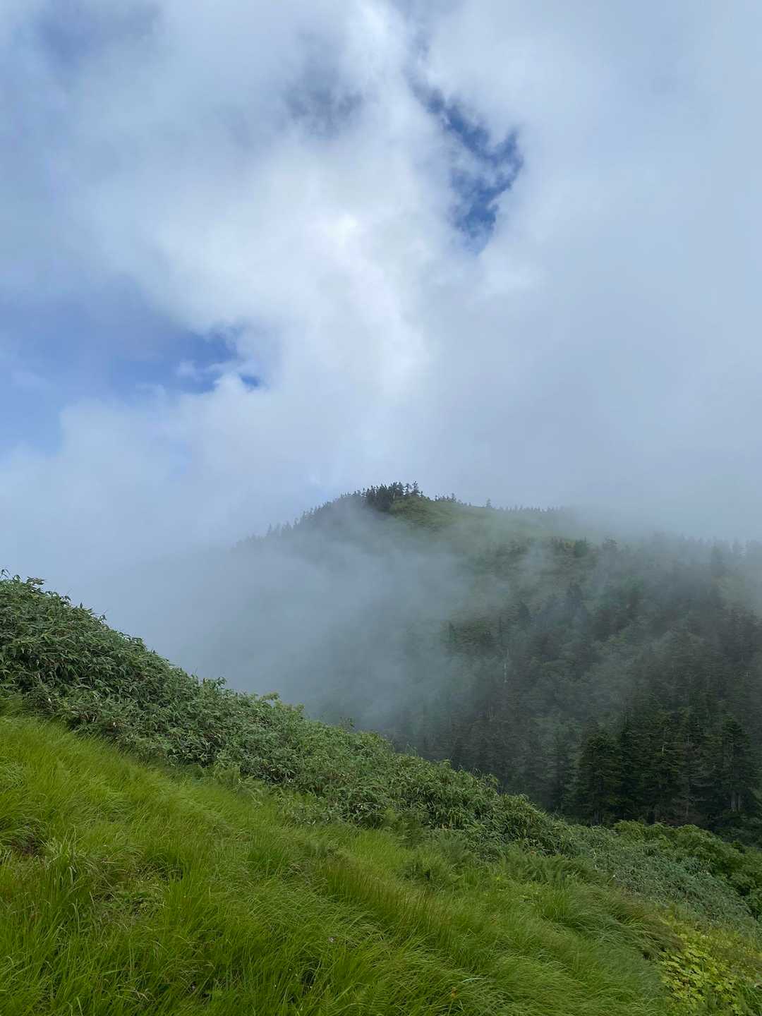 金山（金山登山口）の写真