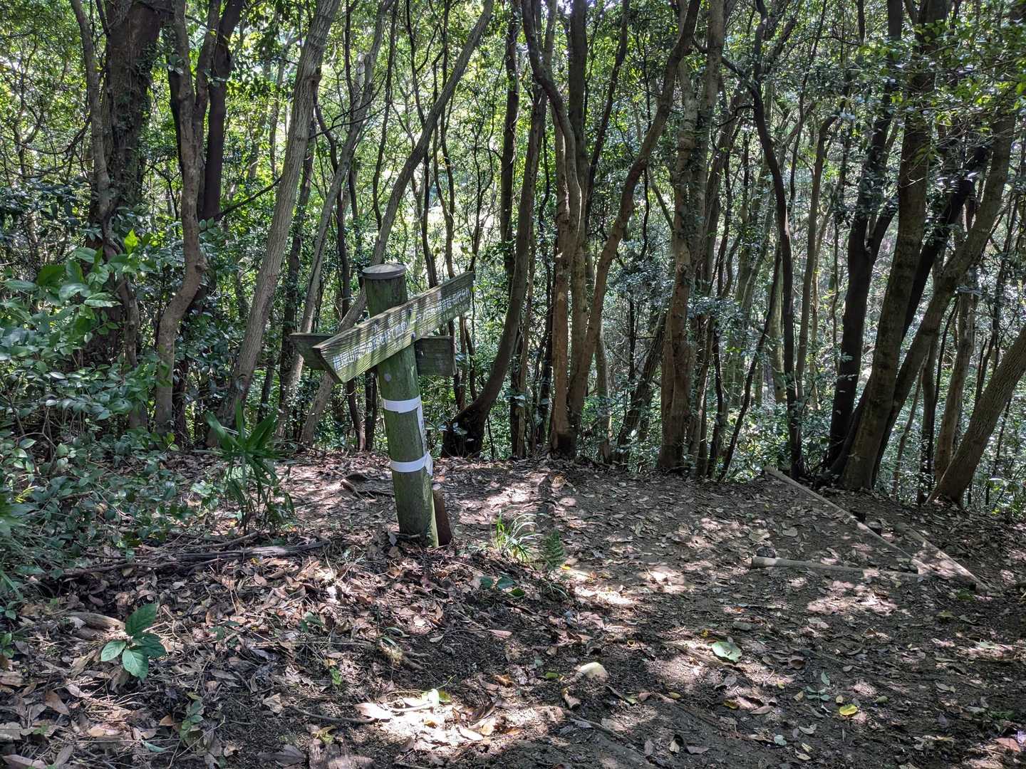 爽健コースとの分岐，