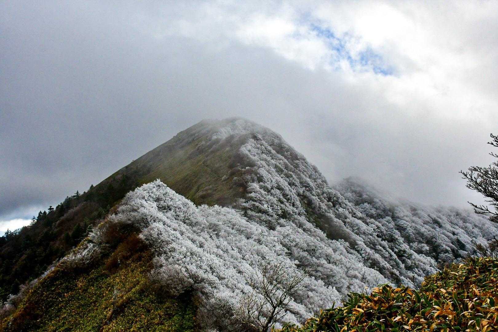 東黒森-伊予富士 往復コースの写真