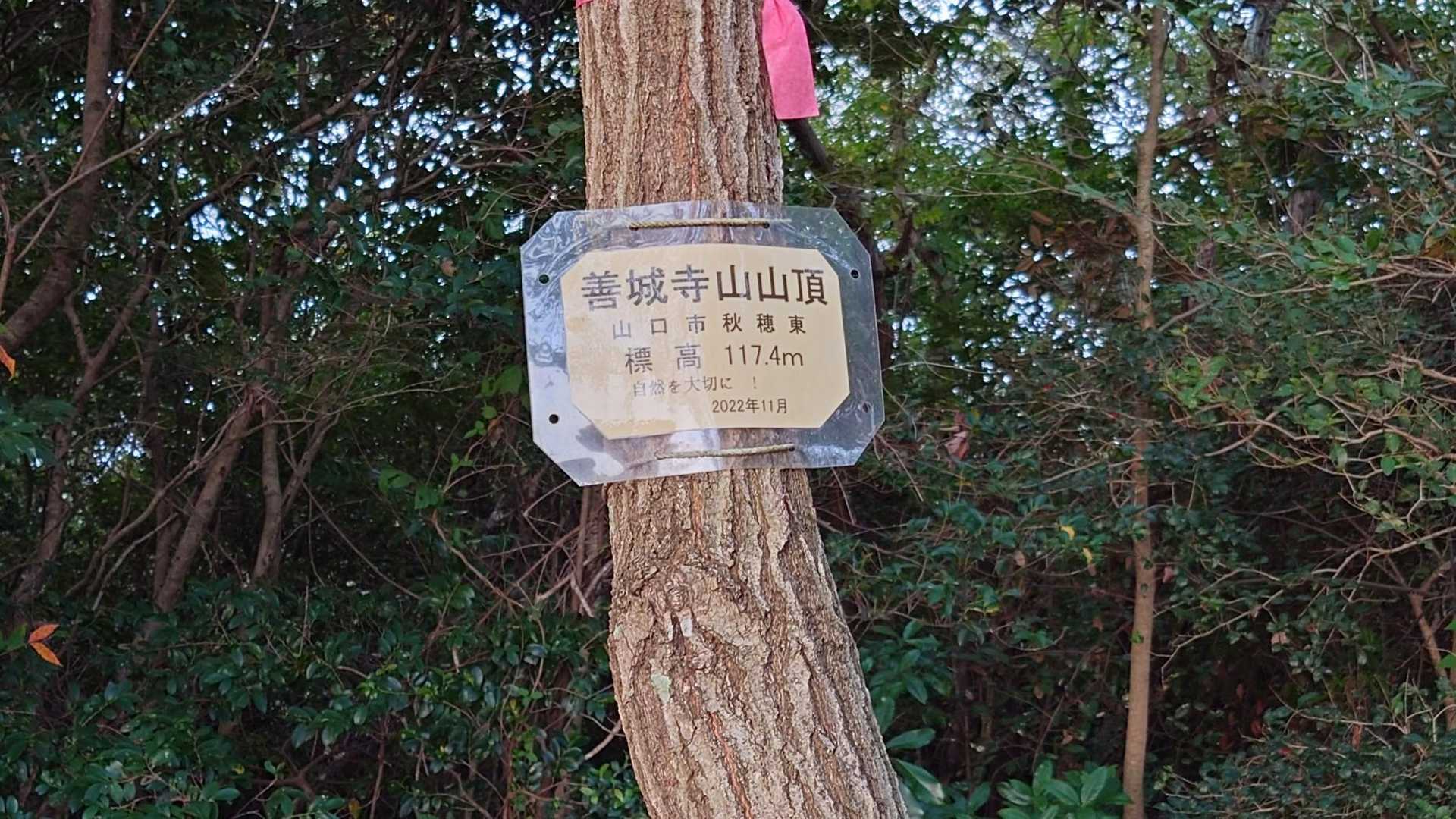 善城寺山 往復コースの写真