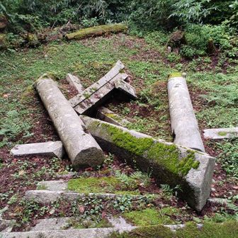 鳥居⛩️が倒壊してる😓