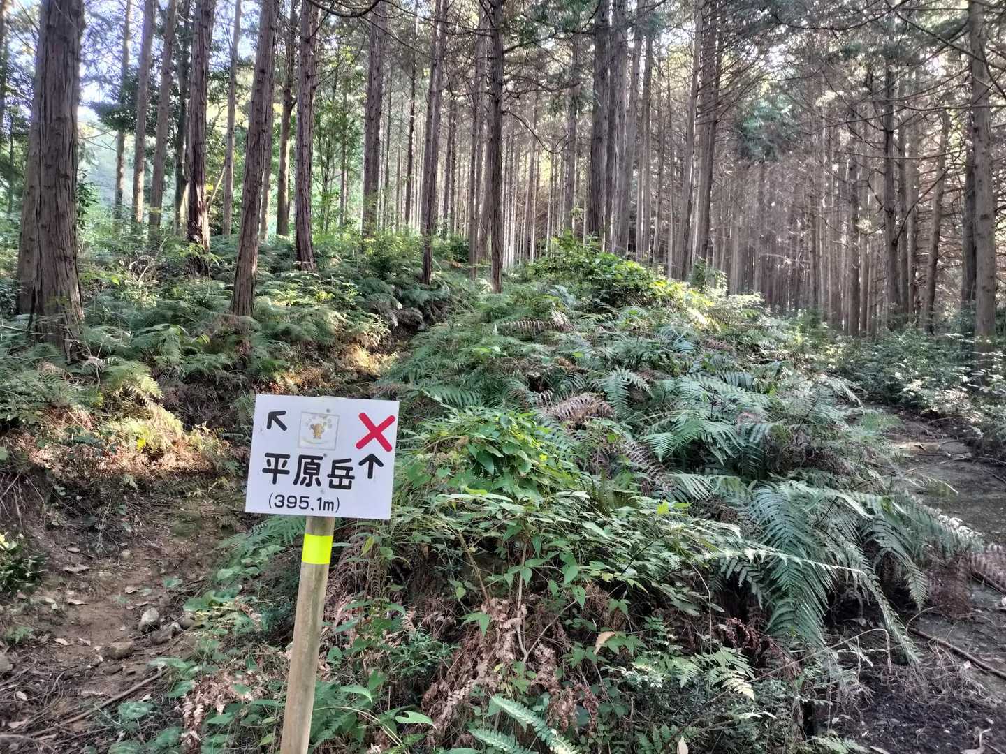 熊鈴🔔を鳴らしながら登る
こんなんで🐻対策になってるかどうか…