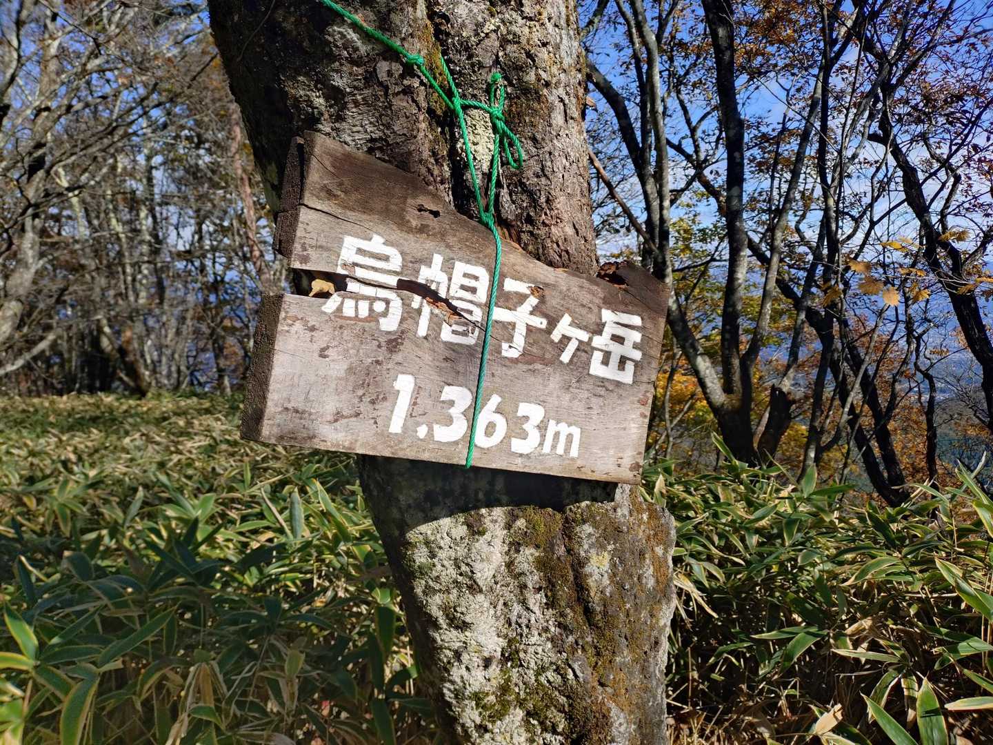 烏帽子ヶ岳(1363m)登頂！
ここは展望が無いのでちょっと先のビューポイントへ！