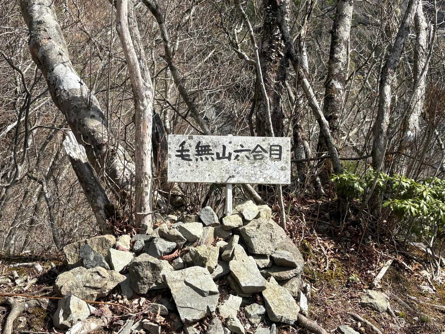 ヒーヒー、やっと半分くらい。