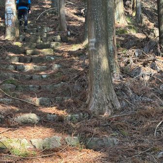 登りは続く　長〜く続く
