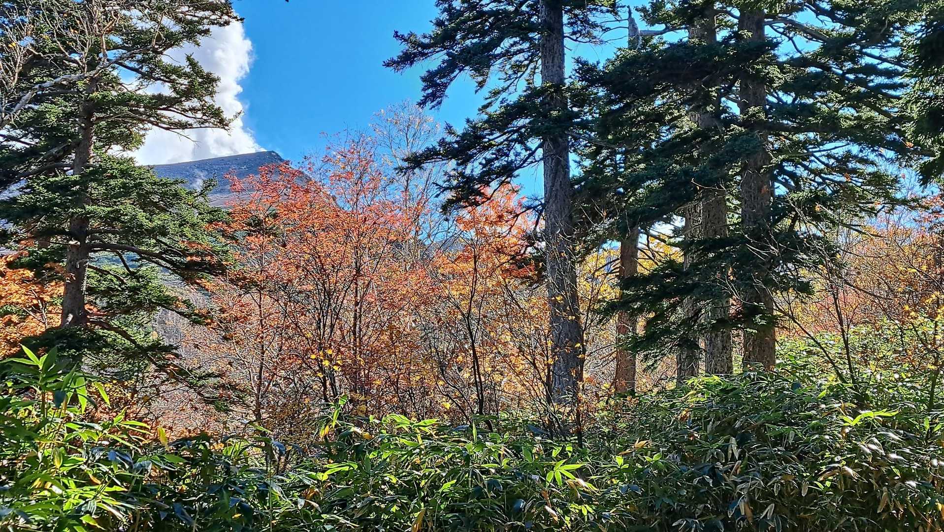 三段山 周回コースの写真