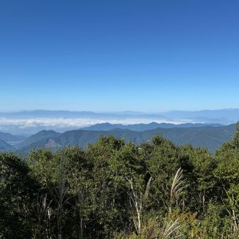雲海〜って言っていいのかな？下界は朝靄の中