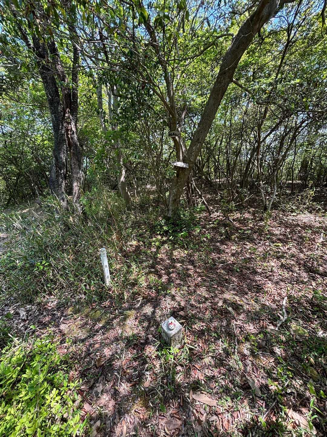 神南備山 往復コースの写真
