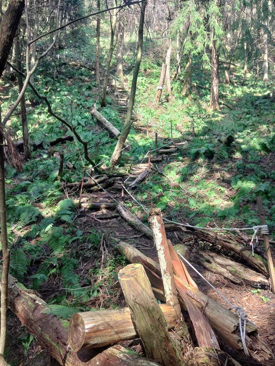 角度のある階段をひたすら登ります