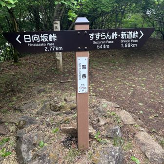山頂は眺望無し　ここから尾根沿いに見晴らし台がある