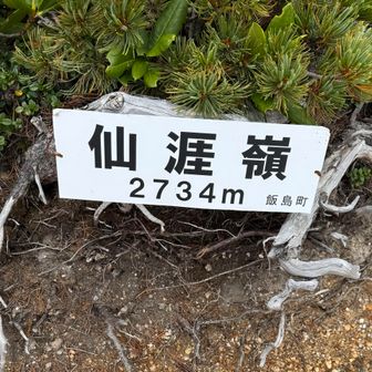 山頂はさらに奥にあるので、ご注意を。