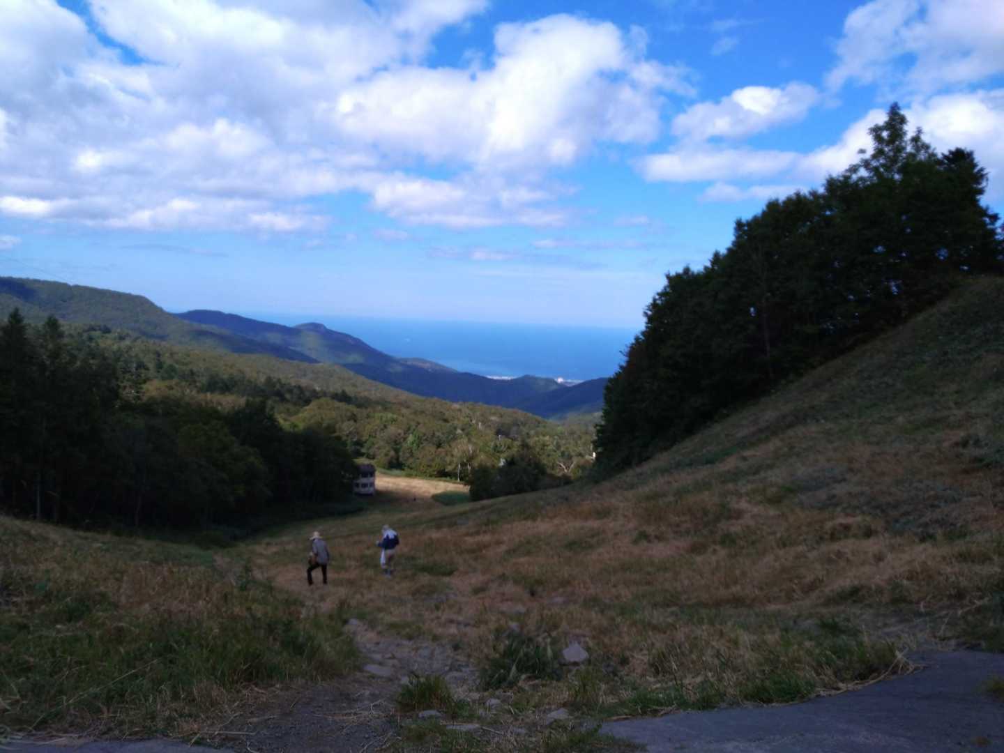 スキー場コースの写真