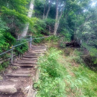水沢観音への登山道。結構な急登ですがよく整備して頂いています