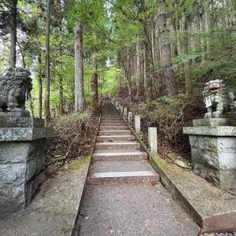 石段は403段あり先が見えない