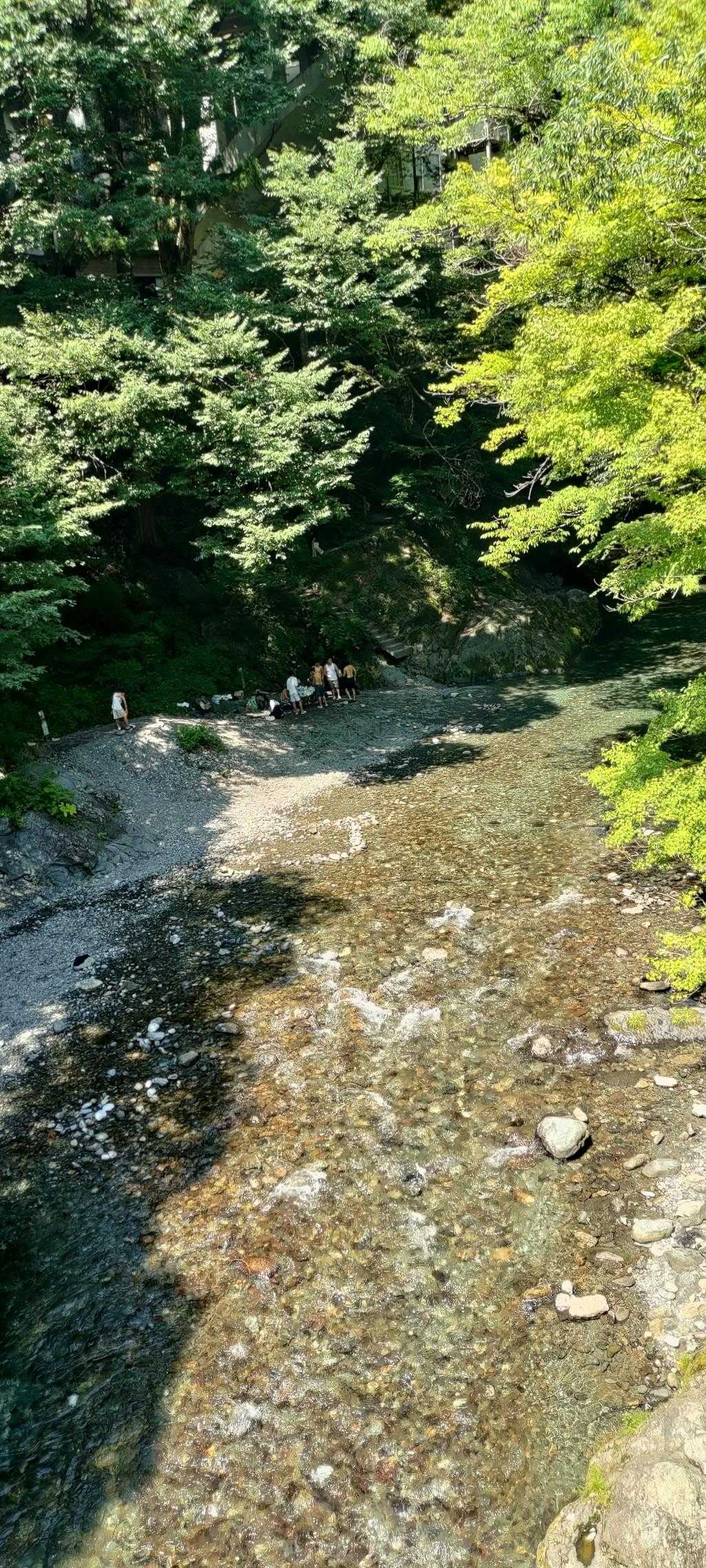 登計橋-登計トレイル-愛宕山 周回コースの写真