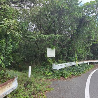樫ヶ峰登山口はここから