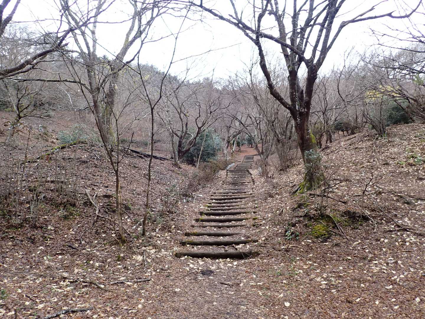 傘さして良く整備された登山道を進む。
