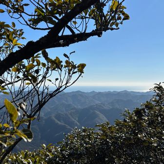 岩の上にのってみたがこちらも木の間から🤏🏼
来た道をほとんど走って下山して、山行終了