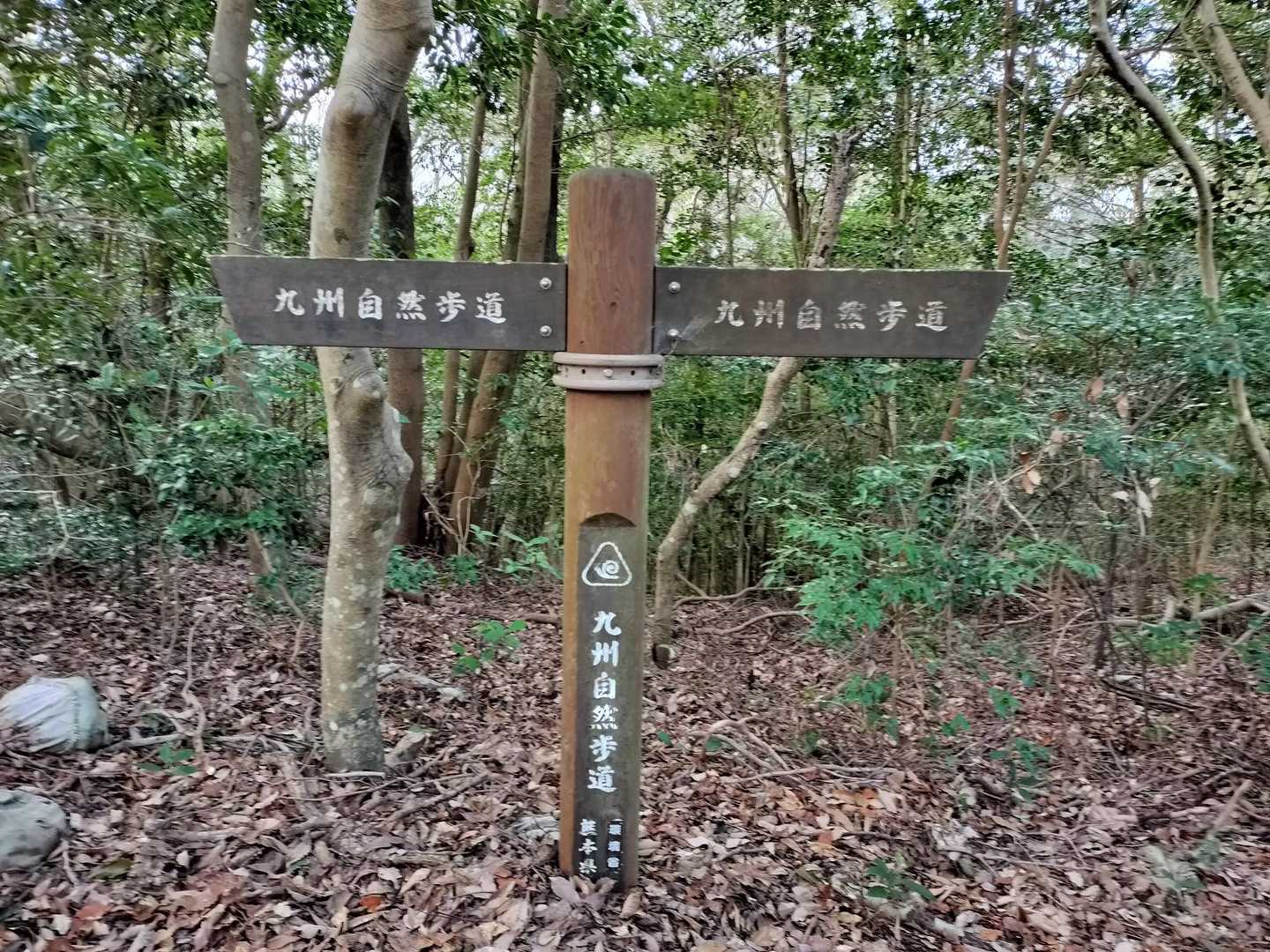 ここも九州自然歩道。整備されてあり歩きやすい