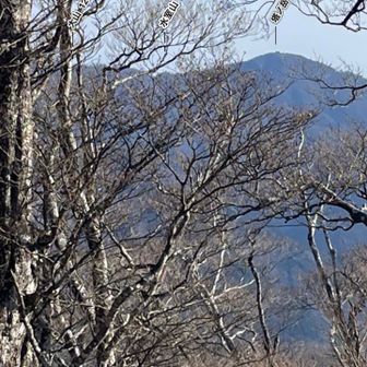 塔ノ岳！小さいけど尊仏山荘がみえる！
