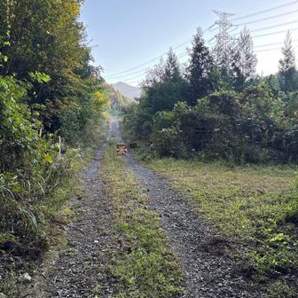 登山口はこの方角です。
