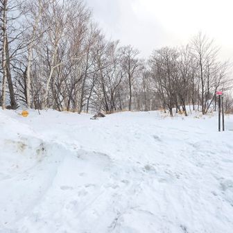 車４台目、ほぼ同時スタートのソロの方をすぐに抜きましたが、まだ待機中だったAtsushi.S さん＆ゆうさんに序盤で抜かれました