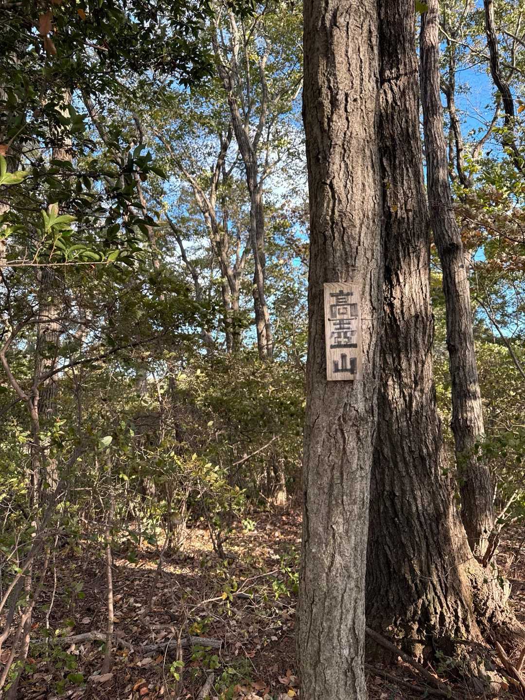 籾山峠-日向山-菅塩峠-高壷山-唐沢山 往復コースの写真