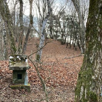 今日はこちらへ向かう