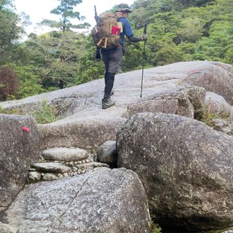 白谷雲水峡の入り口まであと少し