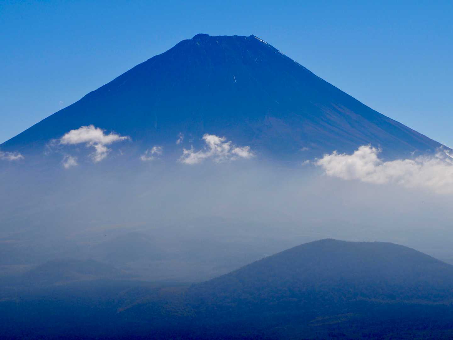 青富士🟦