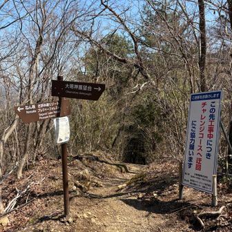 チャレンジコースへ‼️