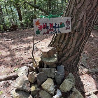 本日1座目の向山(424m)に到着しました😃