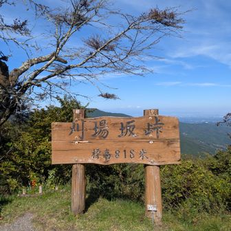 刈場坂峠
彩の国のエイドだった記憶がある
ココで休憩しコンソメスープをいただく
