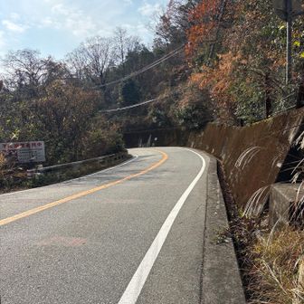車道を横断💨飛ばしてくる車に注意⚠️